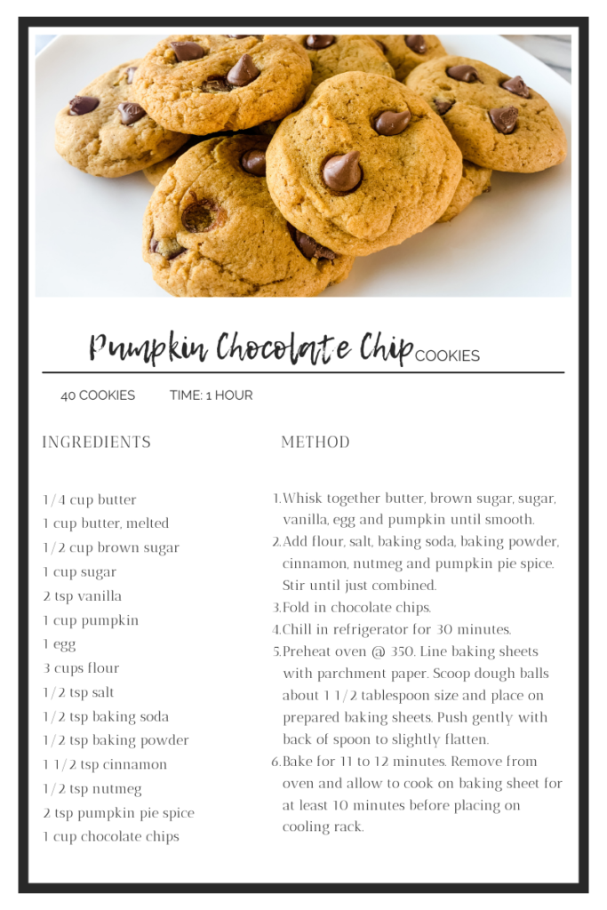 Pumpkin Chocolate Chip Cookies – THE RECIPE LEGACY
